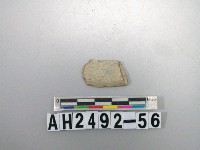 藏品(磨製有刃器)的圖片
